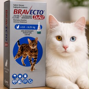 قطره ضد کک و کنه گربه براوکتو پلاس 2.8-6.2 کیلوگرم Bravecto