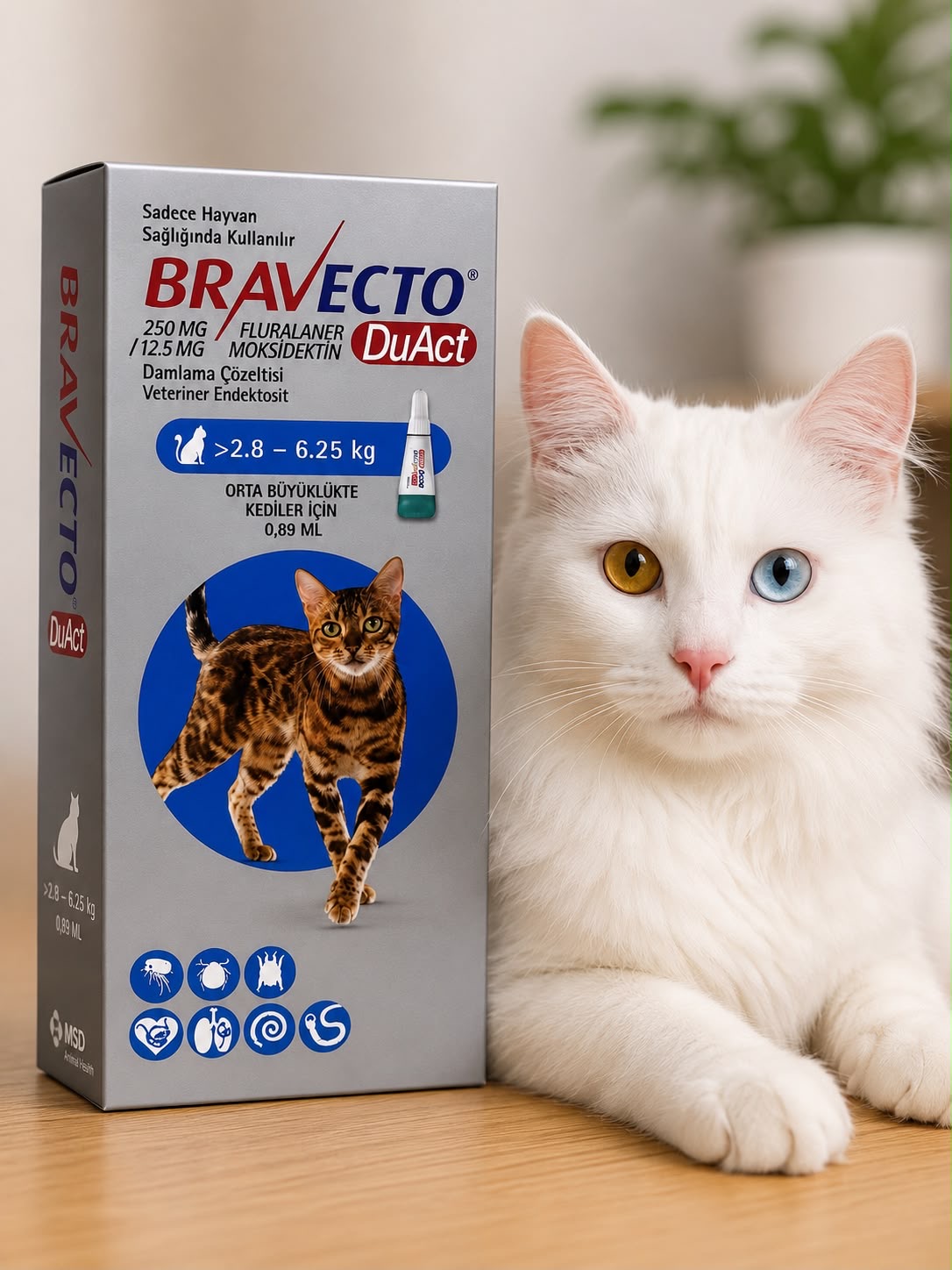 قطره ضد کک و کنه گربه براوکتو پلاس 2.8-6.2 کیلوگرم Bravecto